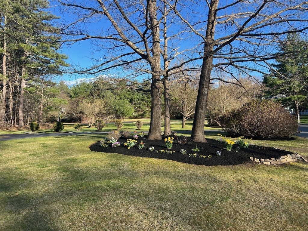 11 Barnside Road Boxford, MA 01921 - Photo 6 of 42 a view of a park with large trees