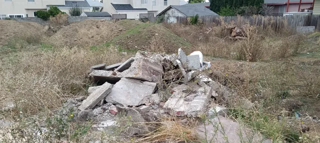 a view of a house with backyard and garden