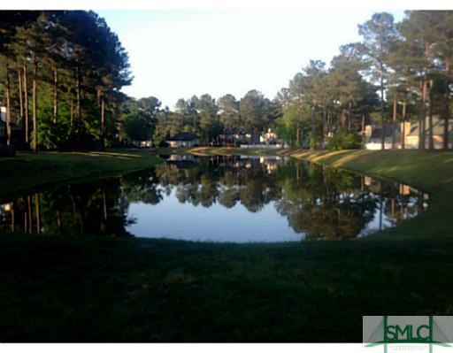 463 Copper Creek Circle Pooler, GA 31322 - Photo 24 of 25 Other.