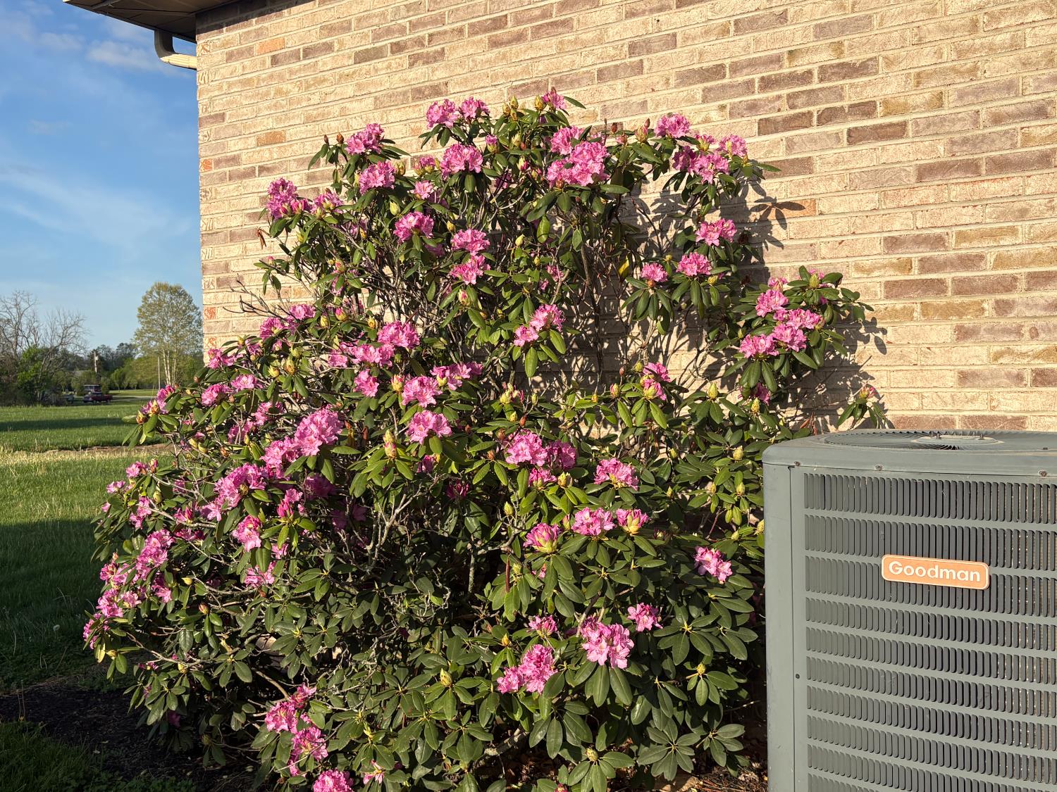 7432 Brooks Road Vevay, IN 47043 - Photo 38 of 38