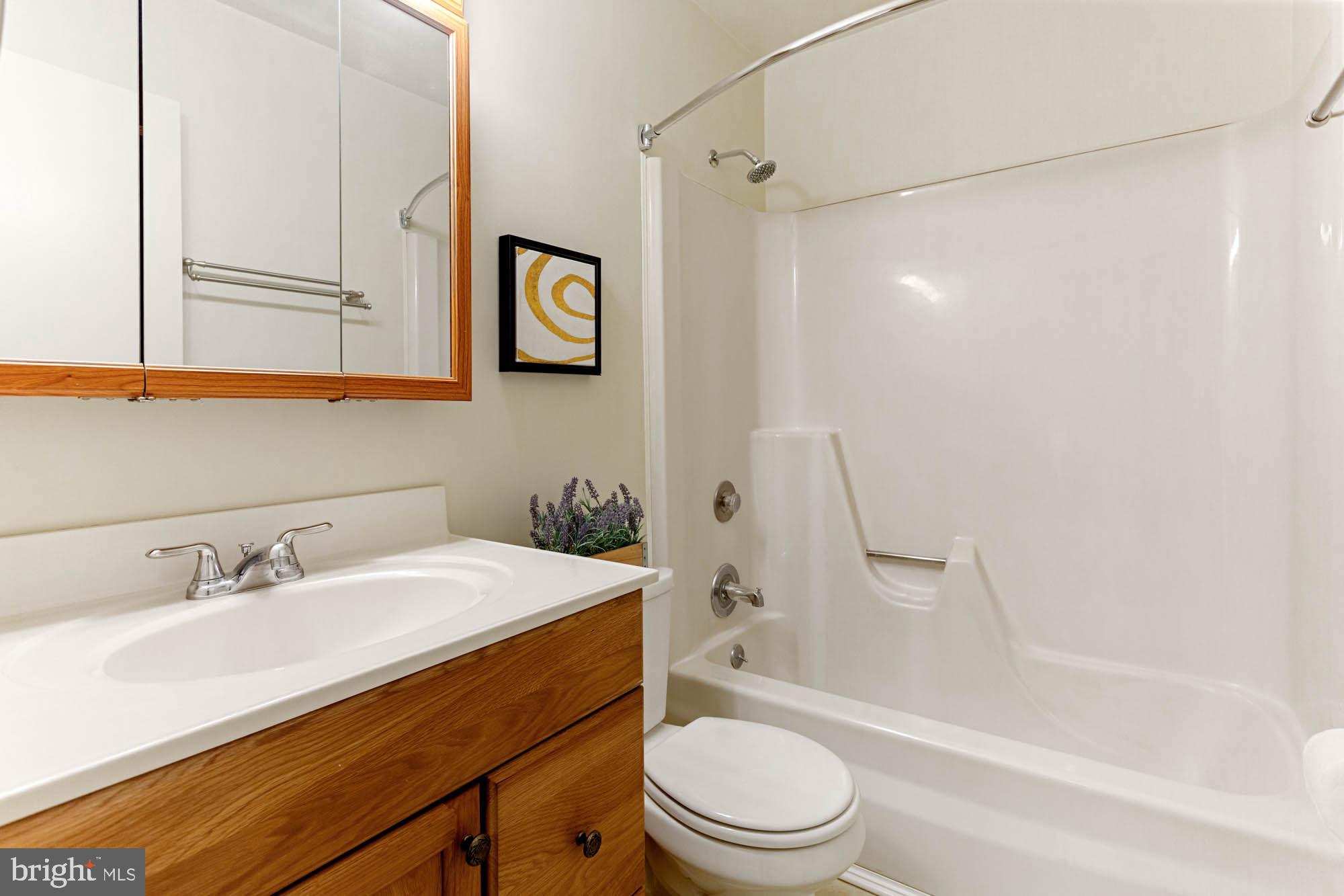 11241 Crystal Run, Unit B289 Columbia, MD 21044 - Photo 30 of 33 EVERYTHING UPGRADED EXCEPT TUB