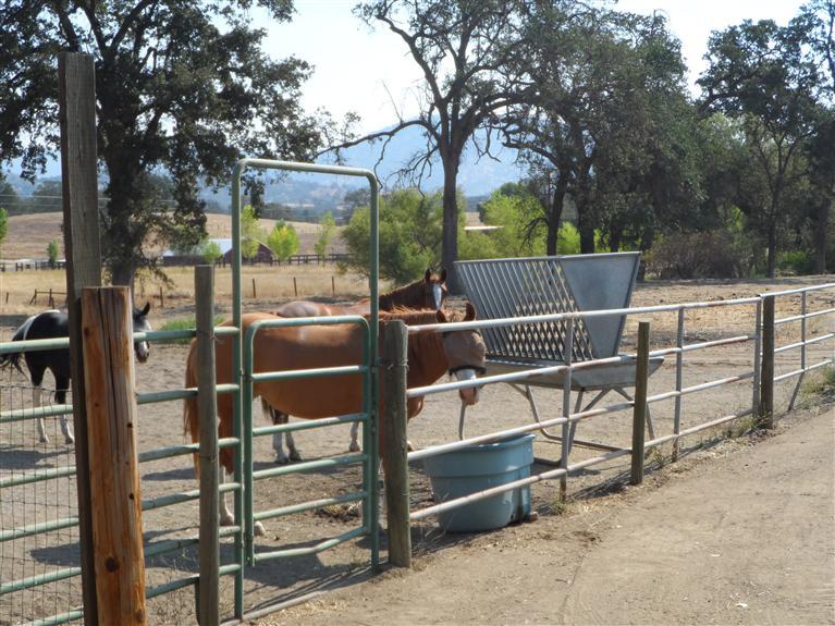 13484 Millerton Road Prather, CA 93651 - Photo 25 of 25 Gallery Image 25
