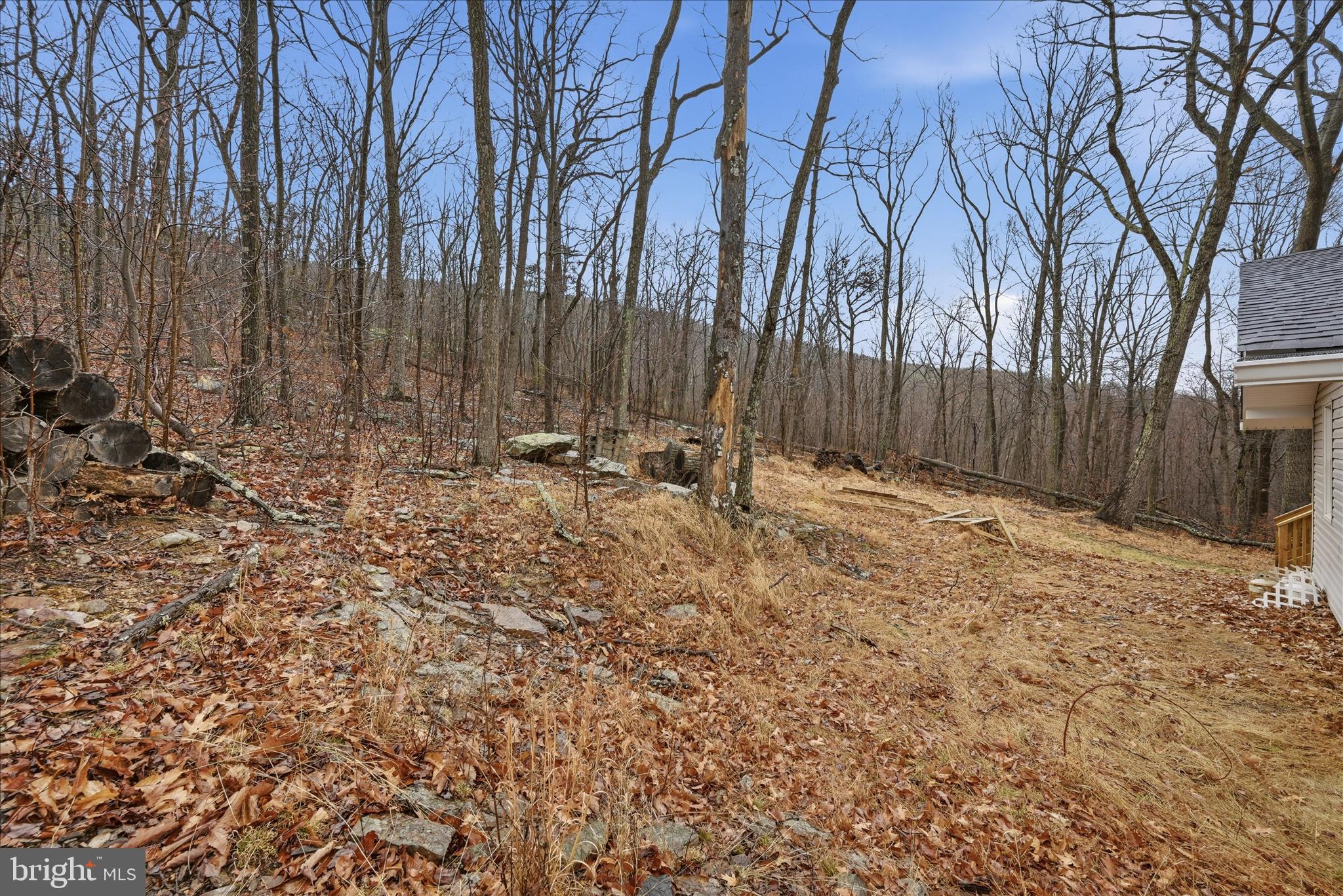 104 Inca Trail Winchester, VA 22602 - Photo 27 of 40 a view of wooden fence under a large tree