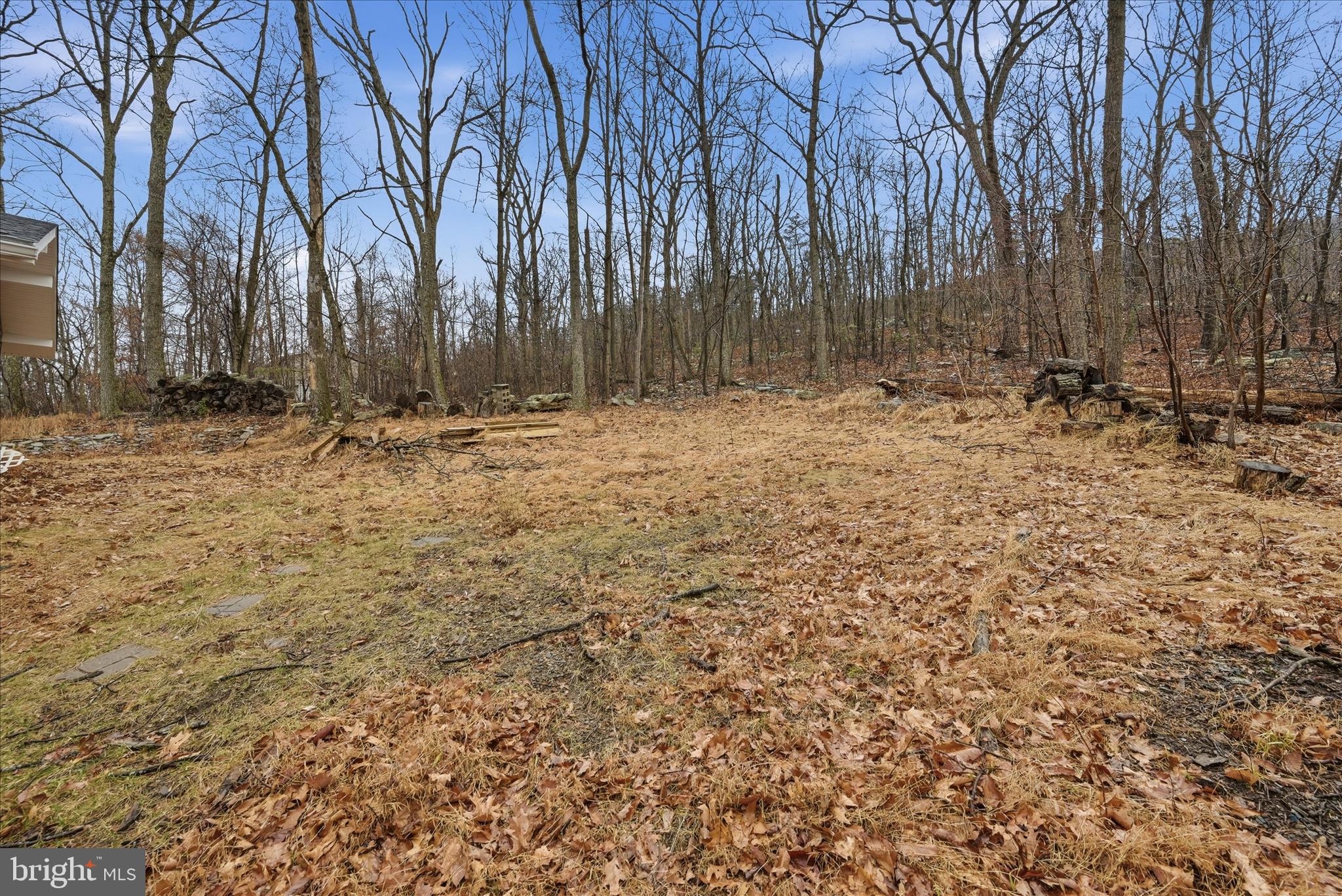 104 Inca Trail Winchester, VA 22602 - Photo 28 of 40 a view of a backyard with large trees