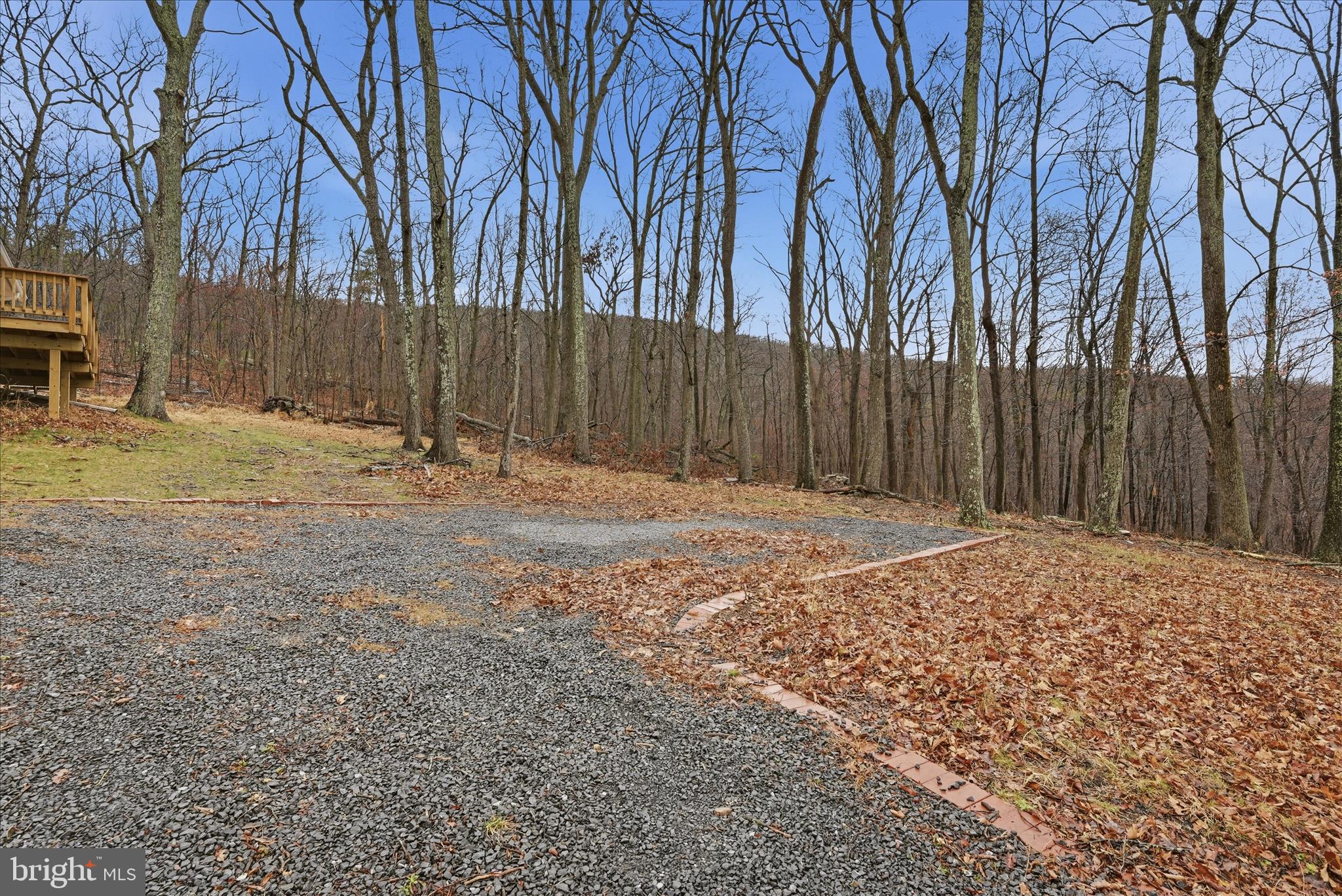 104 Inca Trail Winchester, VA 22602 - Photo 4 of 40 a backyard of a house with a large tree