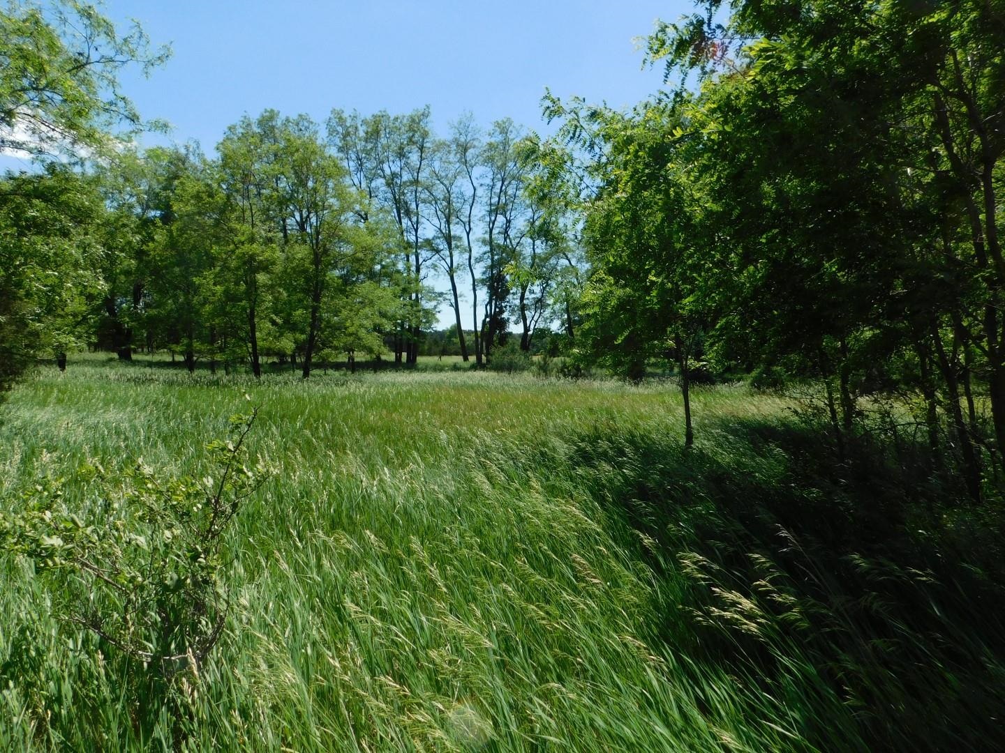 Fern Avenue, Unit 34 Montello, WI 53949 - Photo 2 of 4