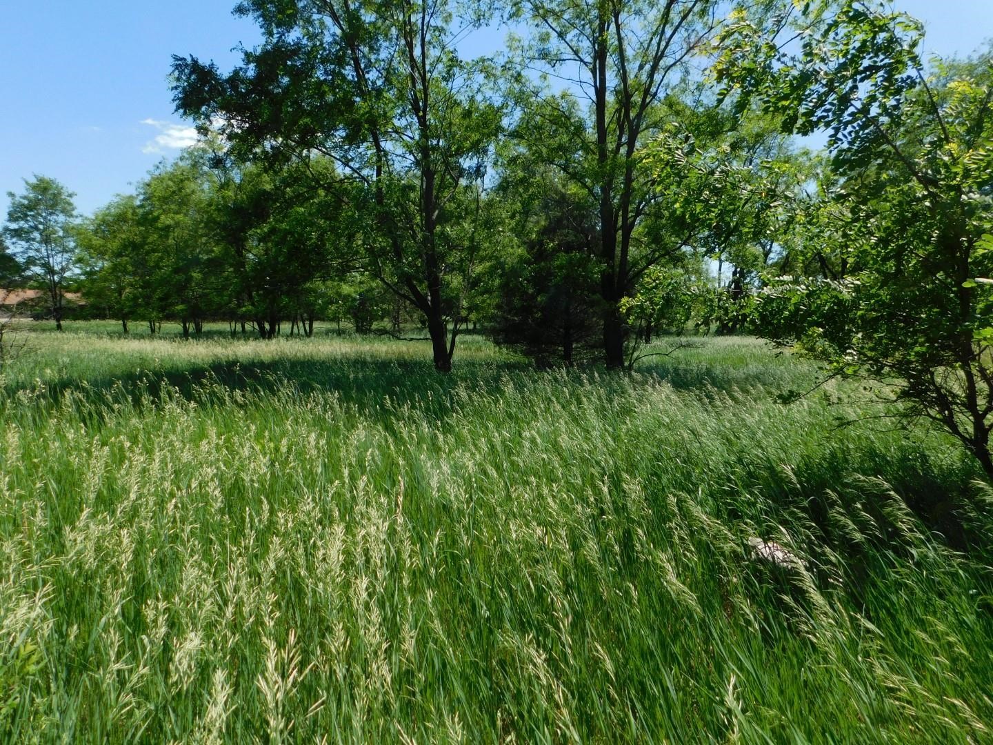 Fern Avenue, Unit 34 Montello, WI 53949 - Photo 3 of 4