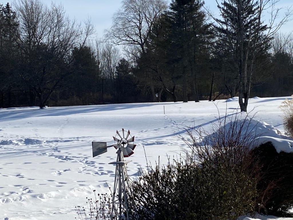 2336 Farm To Market Road Johnson City, NY 13790 - Photo 29 of 36 Gallery Image 29