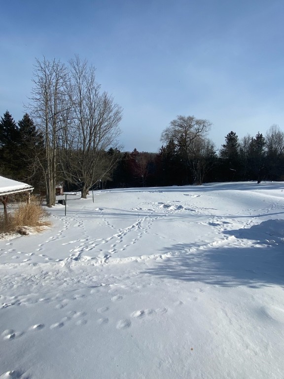2336 Farm To Market Road Johnson City, NY 13790 - Photo 30 of 36 Gallery Image 30