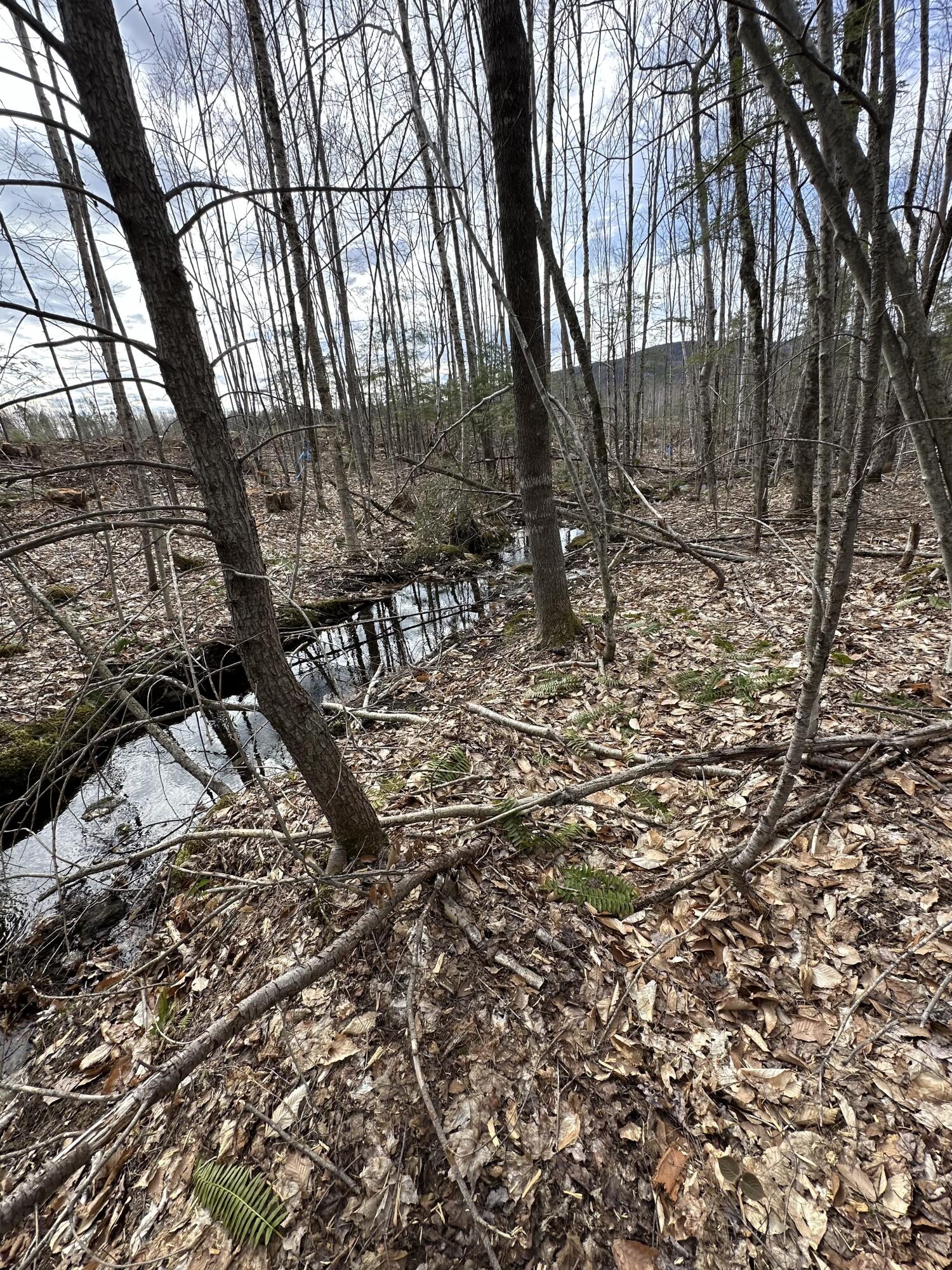 0 French Hill Road Bethel, ME 04217 - Photo 7 of 18 IMG_1542