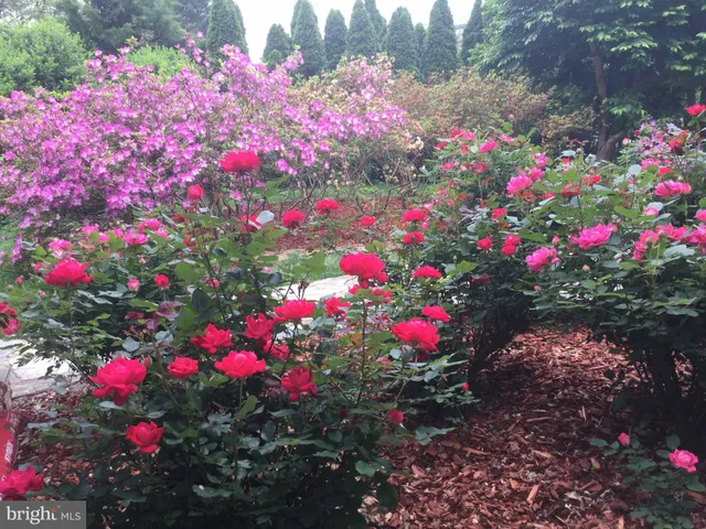 $1,150,000 | 9720 Five Oaks Road, Fairfax, VA 22031