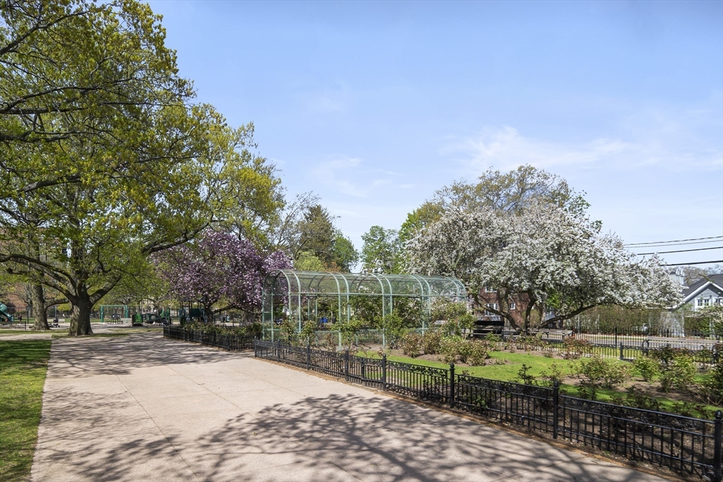 42 Browne Street, Unit 3 Brookline, MA 02446 - Photo 14 of 15 a view of a yard with plants and trees