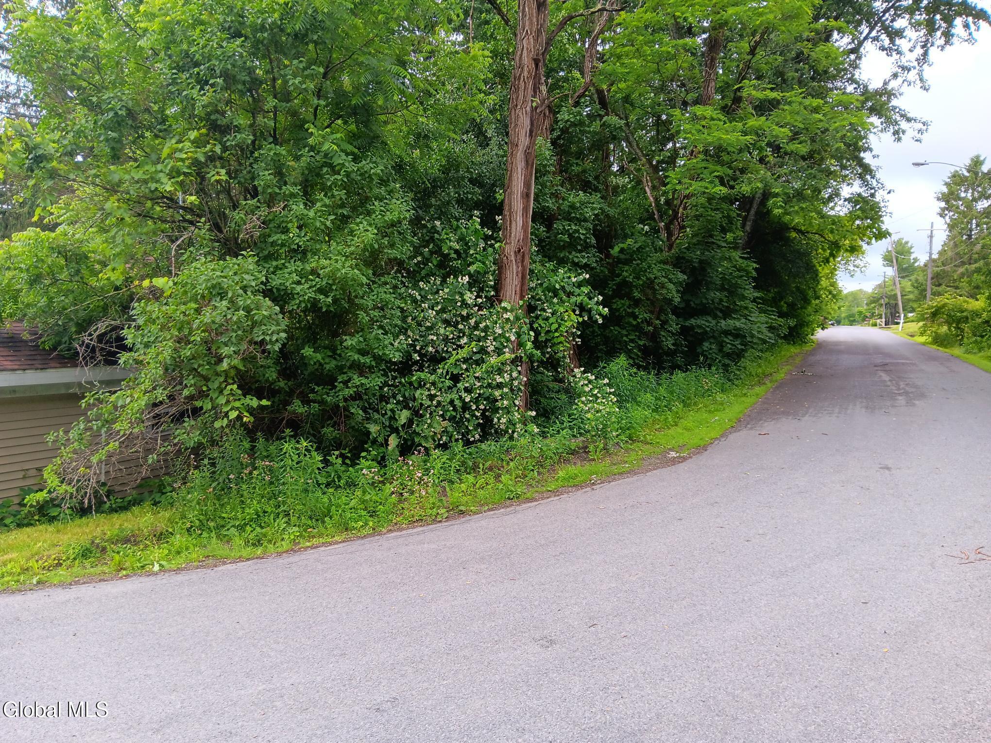 352 Hillside Road Duanesburg, NY 12137 - Photo 2 of 15 20260623_111932