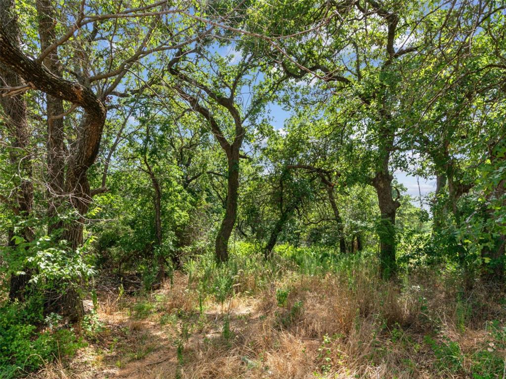 Lot 54 Kilkenny Road Poolville, TX 76487 - Photo 4 of 14