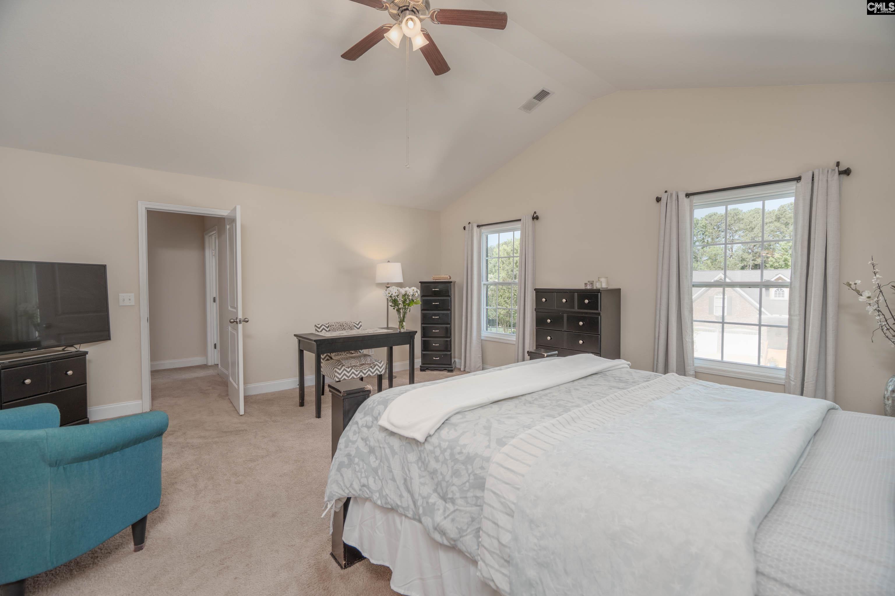 133 Palm Street Chapin, SC 29036 - Photo 30 of 37