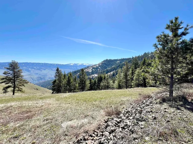$147,000 | Tbd Lot 50 Tbd, White Bird, ID 83554