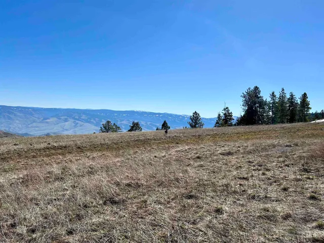 $147,000 | Tbd Lot 50 Tbd, White Bird, ID 83554
