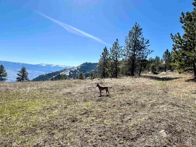 $147,000 | Tbd Lot 50 Tbd, White Bird, ID 83554