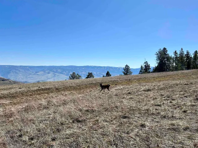 $147,000 | Tbd Lot 50 Tbd, White Bird, ID 83554