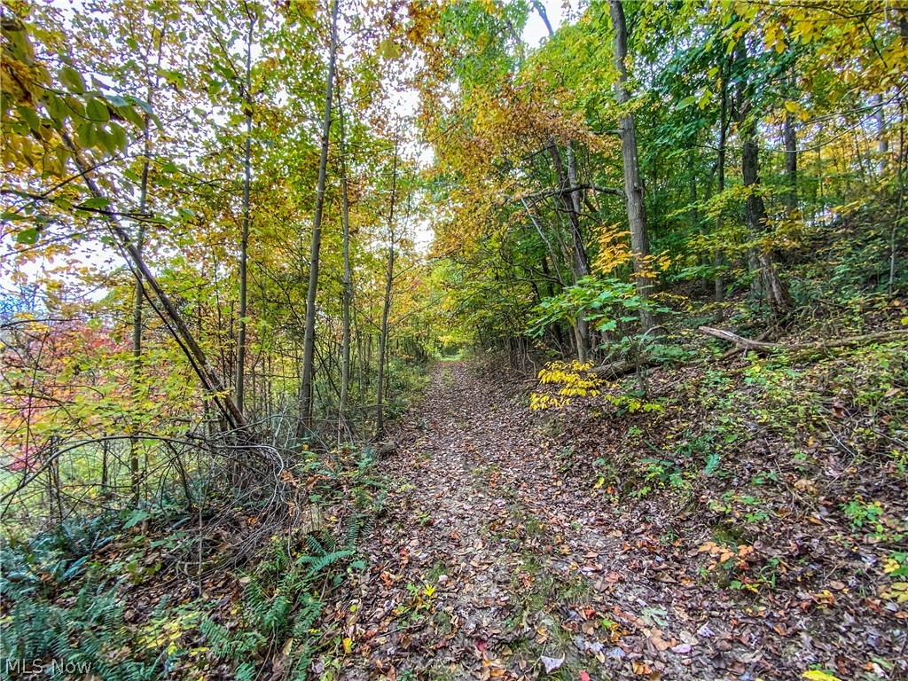 Robinhood Road Bowerston, OH 44695 - Photo 18 of 34
