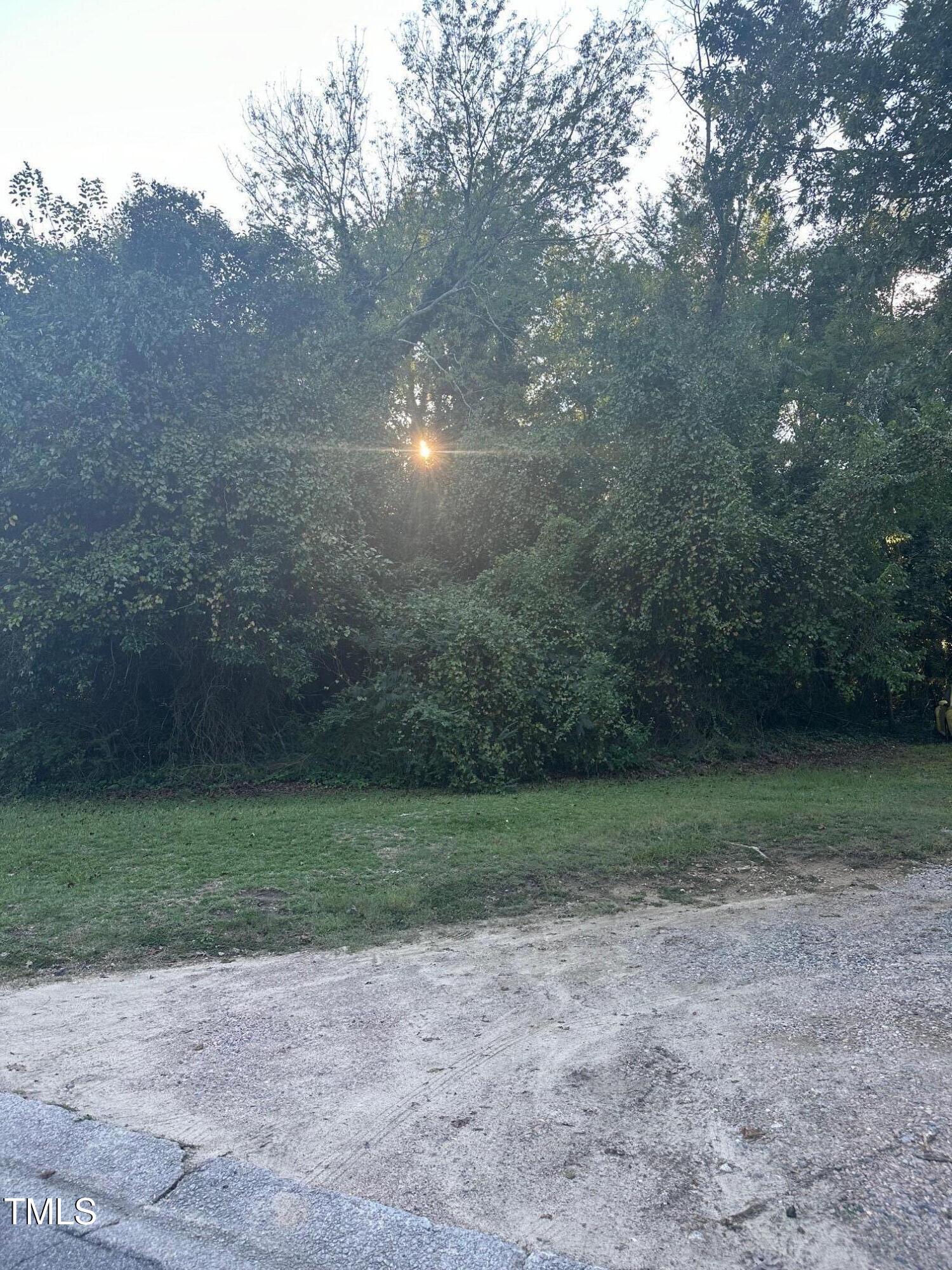 a view of a field with a trees