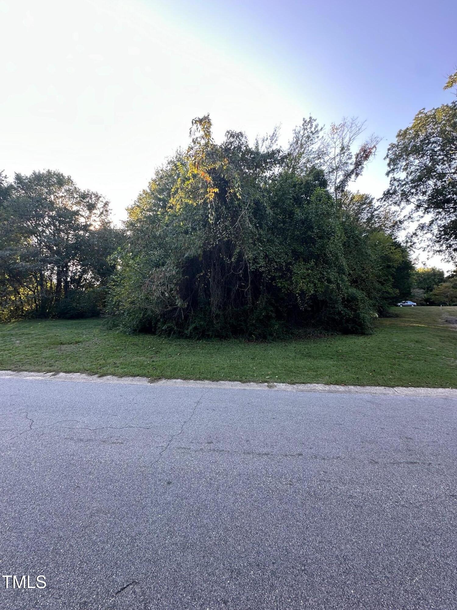 4217 James Road Raleigh, NC 27616 - Photo 4 of 7 a view of a field with trees in the background