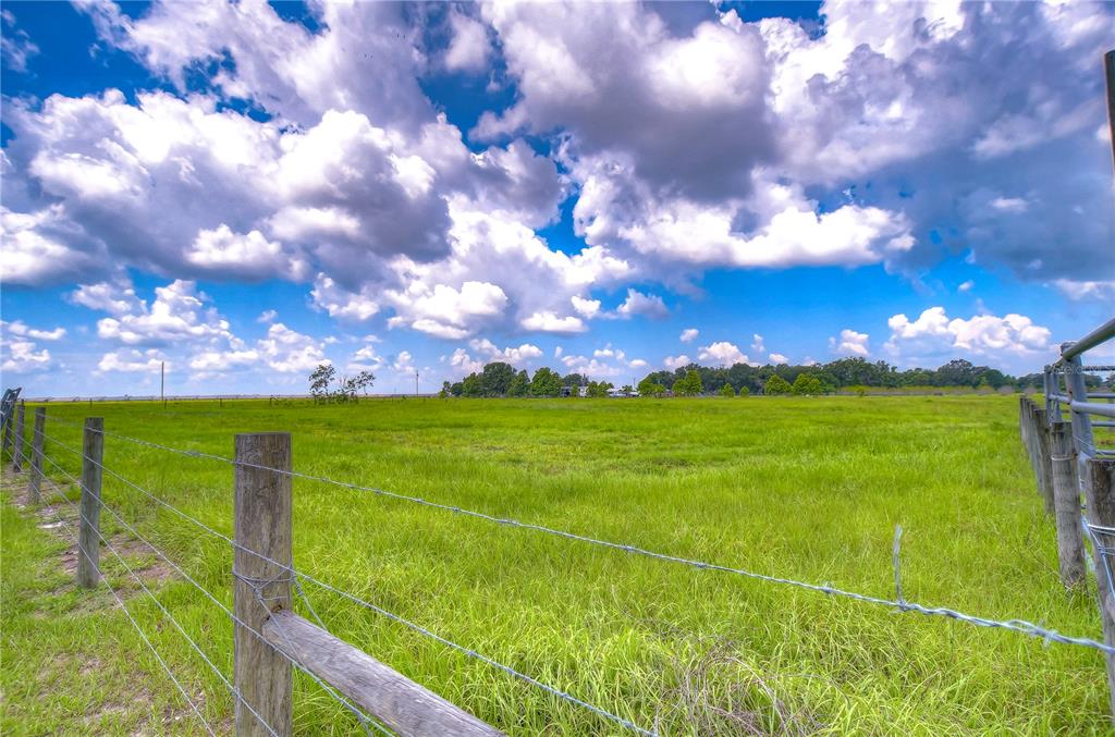 a view of a big yard with lots of green space and plants