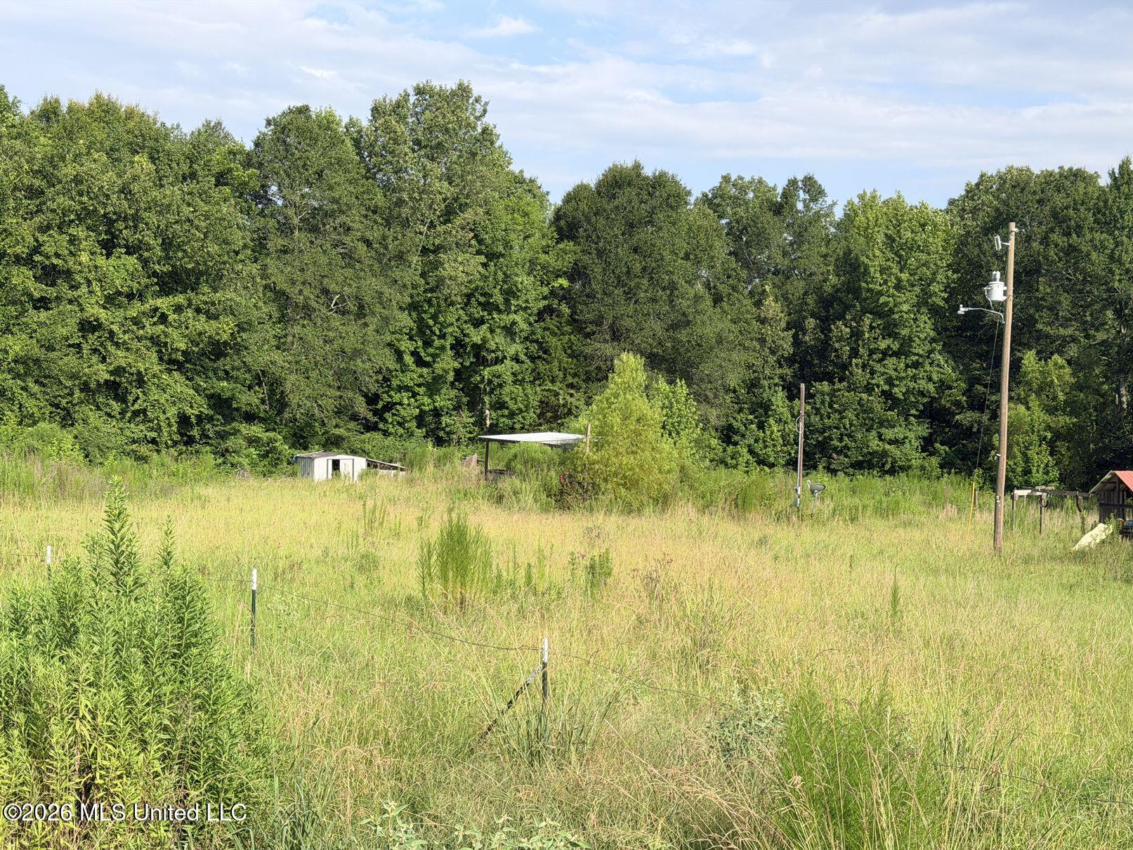 2511 Dry Grove Road Crystal Springs, MS 39059 - Photo 5 of 7 5