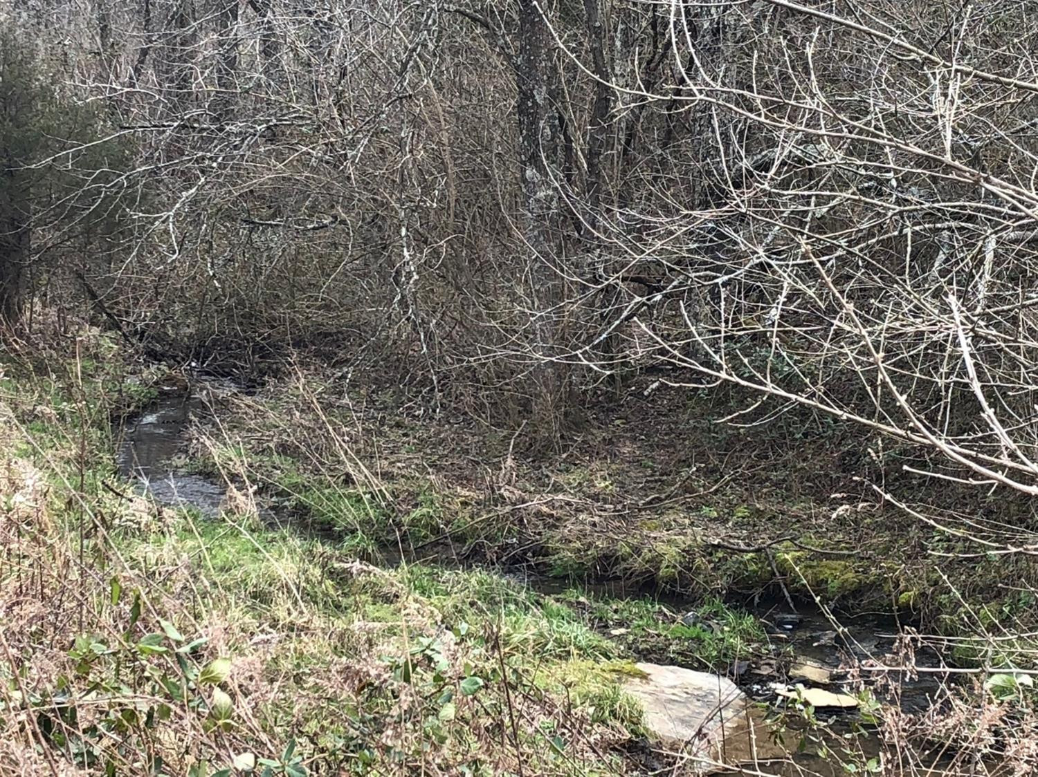 4865 Ironworks Road Winchester, KY 40391 - Photo 21 of 39 Photo taken 1/19