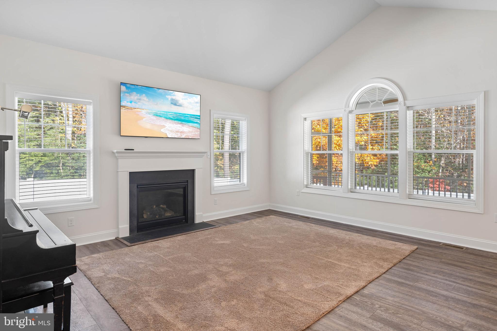 23319 Bluewater Way Lewes, DE 19958 - Photo 5 of 48 Soaring Ceiling Great Room with Focal Fireplace