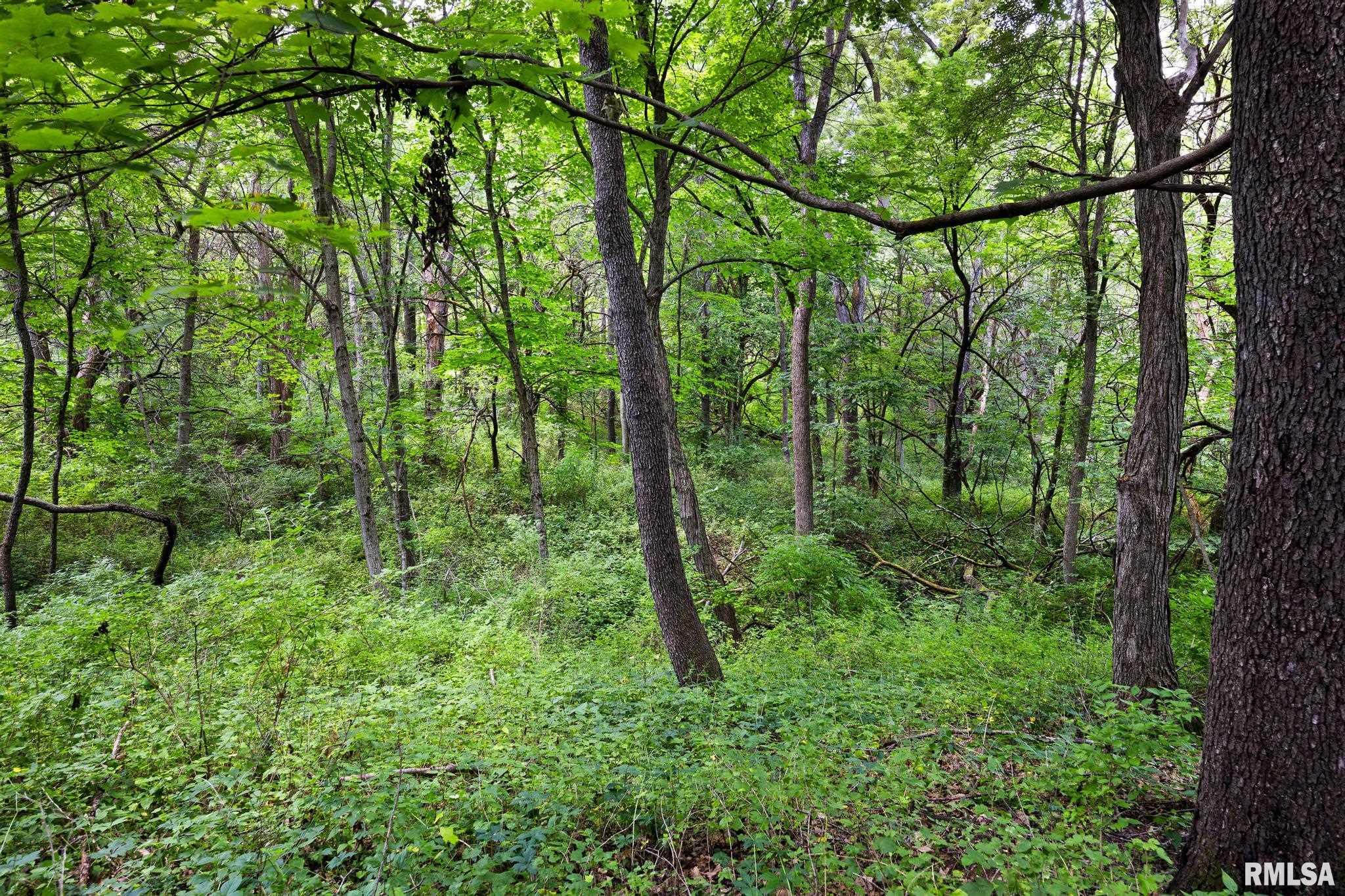 0 North Stone School Road Elmwood, IL 61529 - Photo 69 of 90