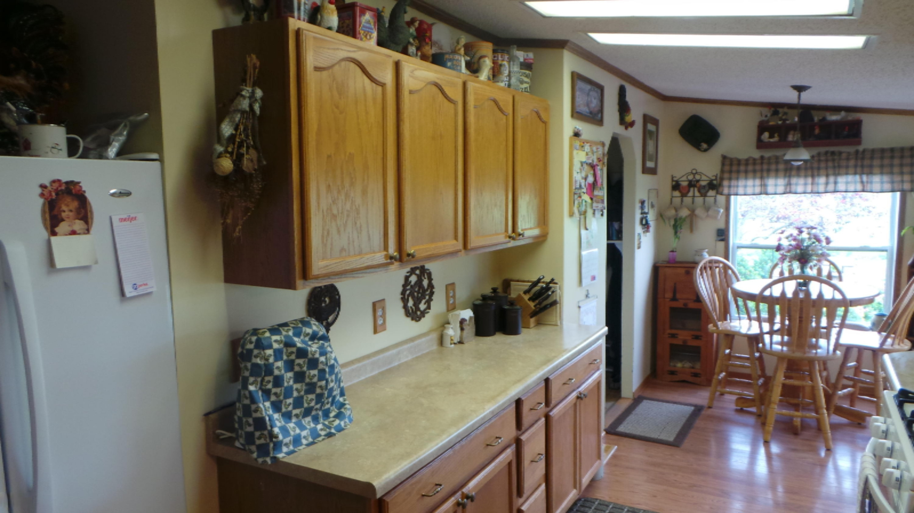 3389 B Stone Road Ionia, MI 48846 - Photo 1 of 47 20150615_151750