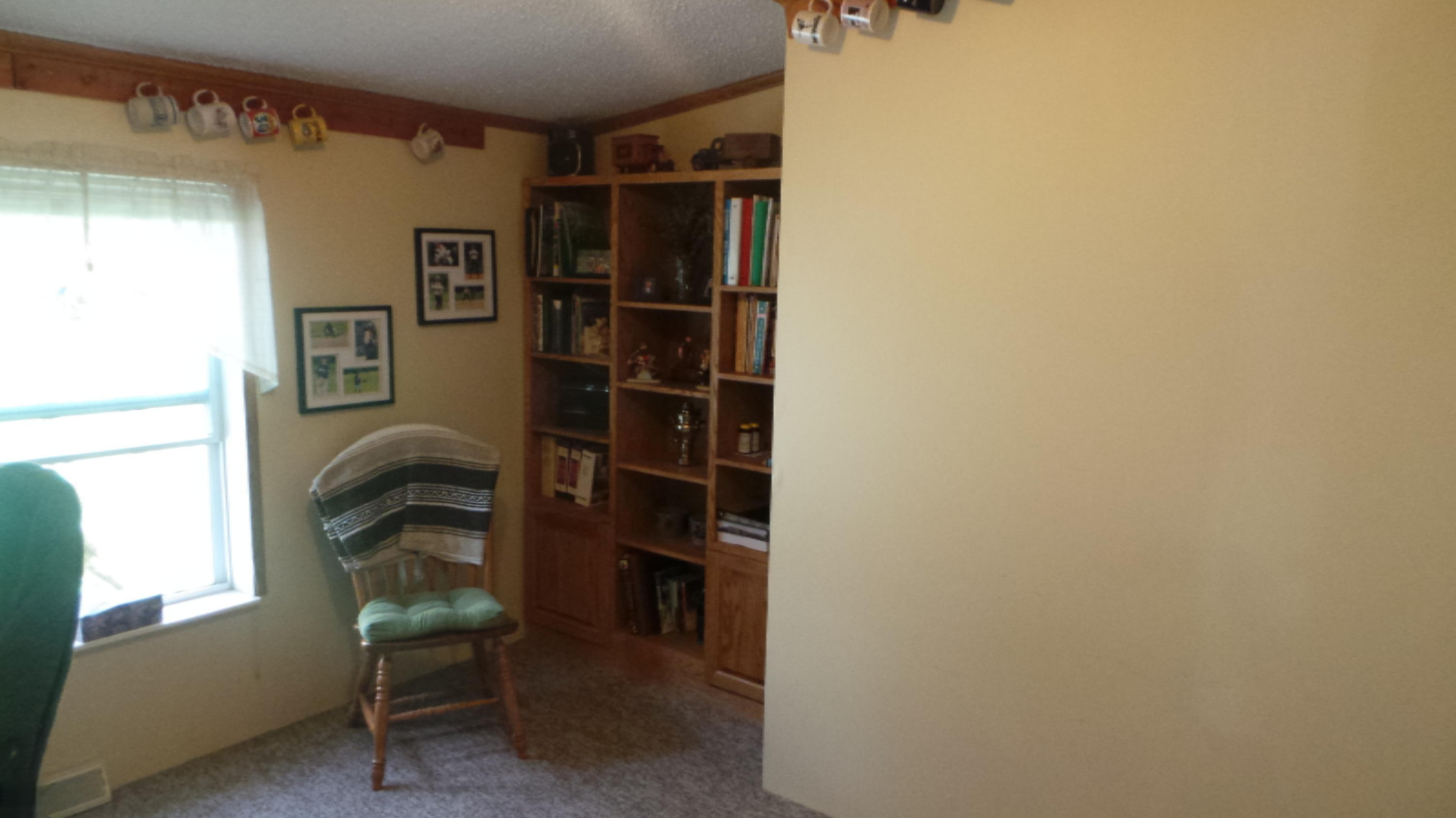 3389 B Stone Road Ionia, MI 48846 - Photo 13 of 47 20150615_152410