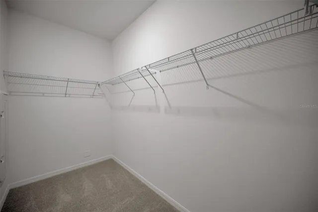 $2,800 | 18200 Pleasantview Boulevard, Land O Lakes, FL 34638