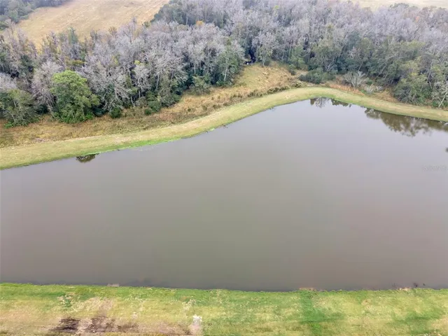 $2,800 | 18200 Pleasantview Boulevard, Land O Lakes, FL 34638