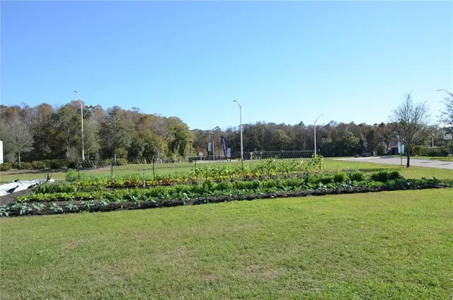 $2,800 | 18200 Pleasantview Boulevard, Land O Lakes, FL 34638