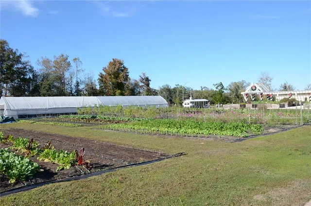 $2,800 | 18200 Pleasantview Boulevard, Land O Lakes, FL 34638