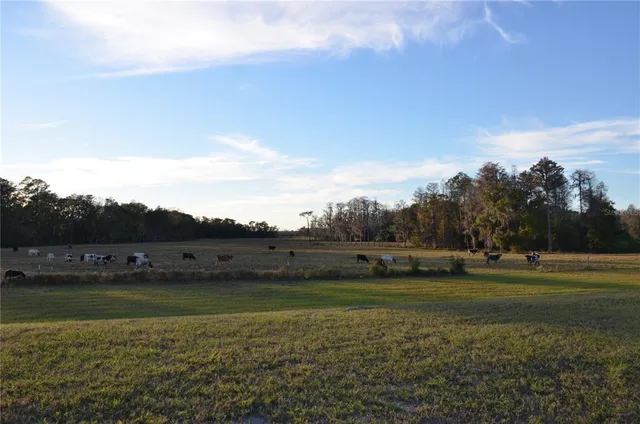 $2,800 | 18200 Pleasantview Boulevard, Land O Lakes, FL 34638