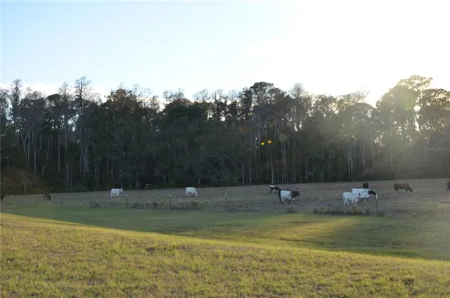 $2,800 | 18200 Pleasantview Boulevard, Land O Lakes, FL 34638