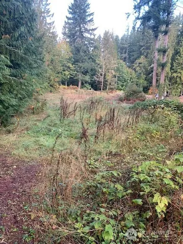 a view of a backyard of a house