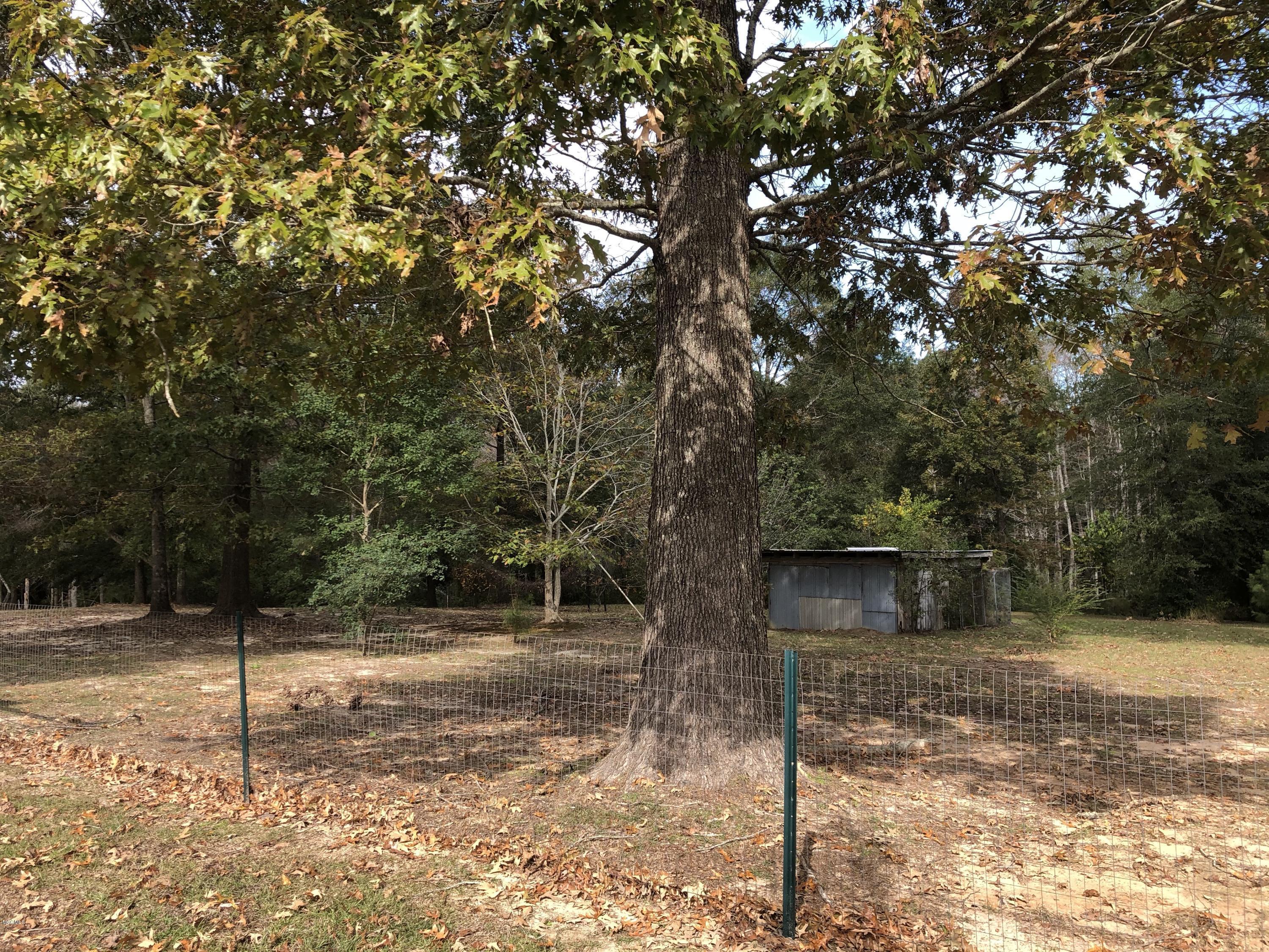 129 Scott Eubanks Road Lucedale, MS 39452 - Photo 5 of 11 5Wo0Vx9yTpWuAgsDe215mA
