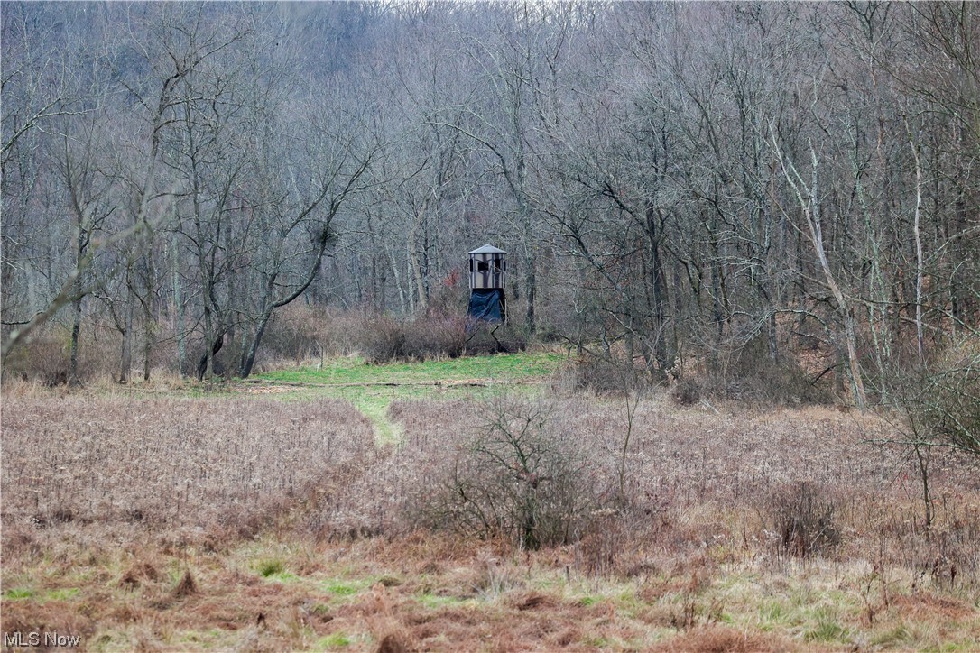 0 Waymor Road Quaker City, OH 43773 - Photo 18 of 22 View of mother earth's splendor