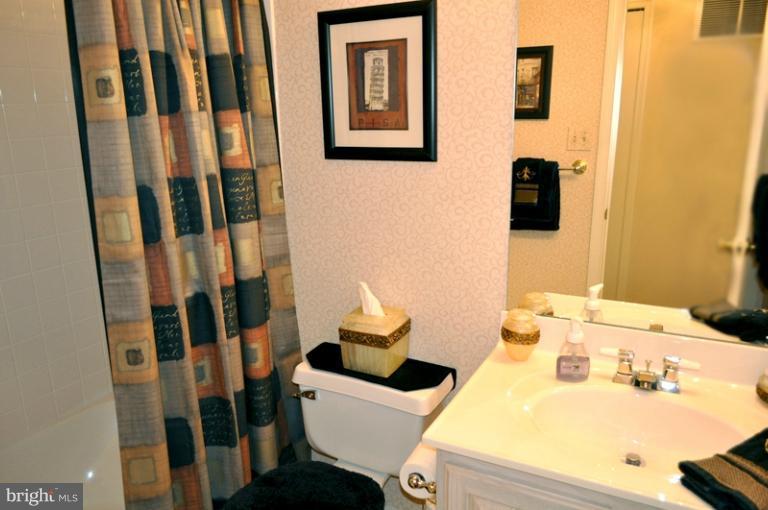 2233 Bear Den Road Frederick, MD 21701 - Photo 4 of 30 Upstairs Hall Bathroom