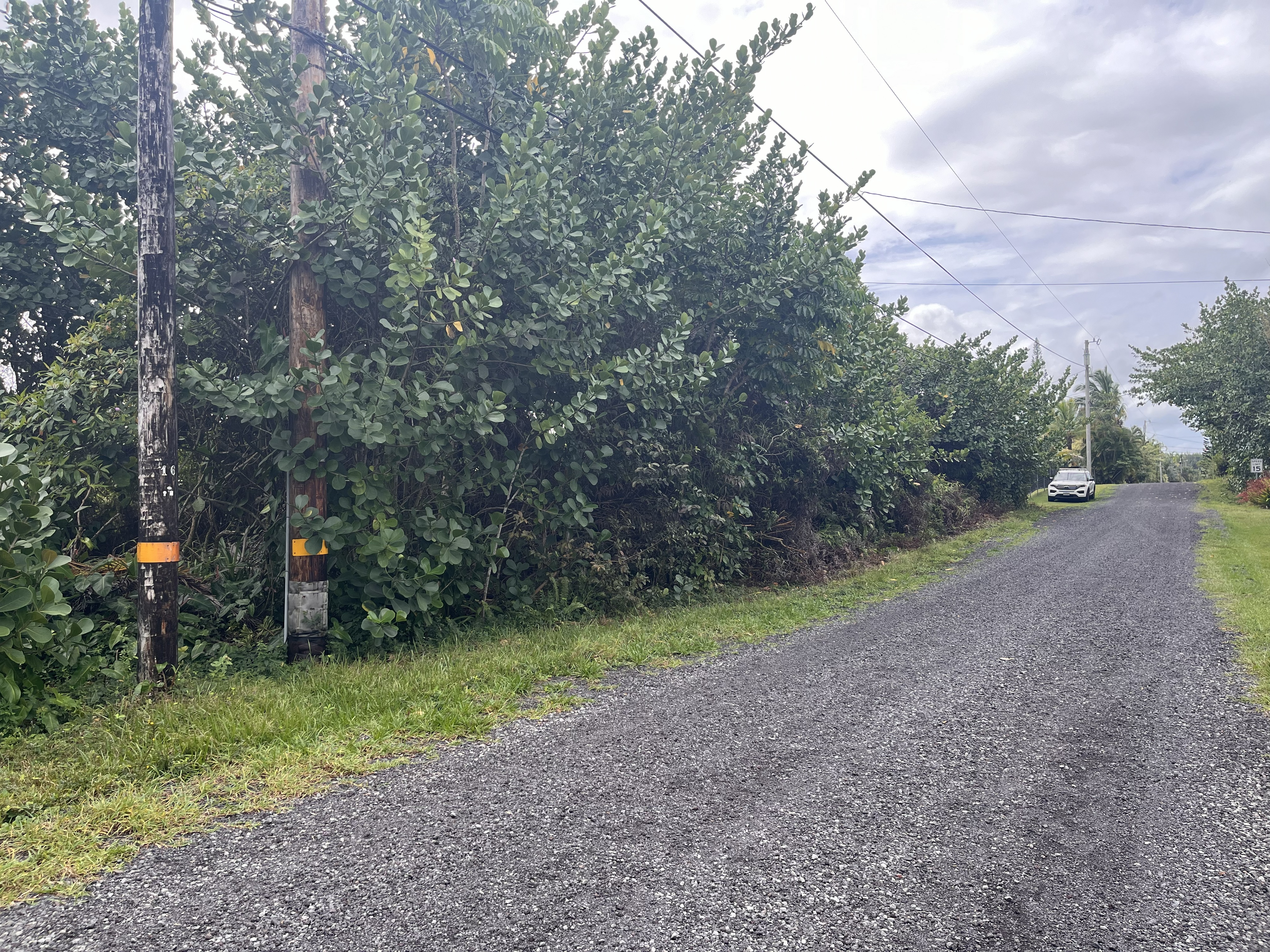 332 Lemiwai Road Keaau, HI 96749 - Photo 4 of 8