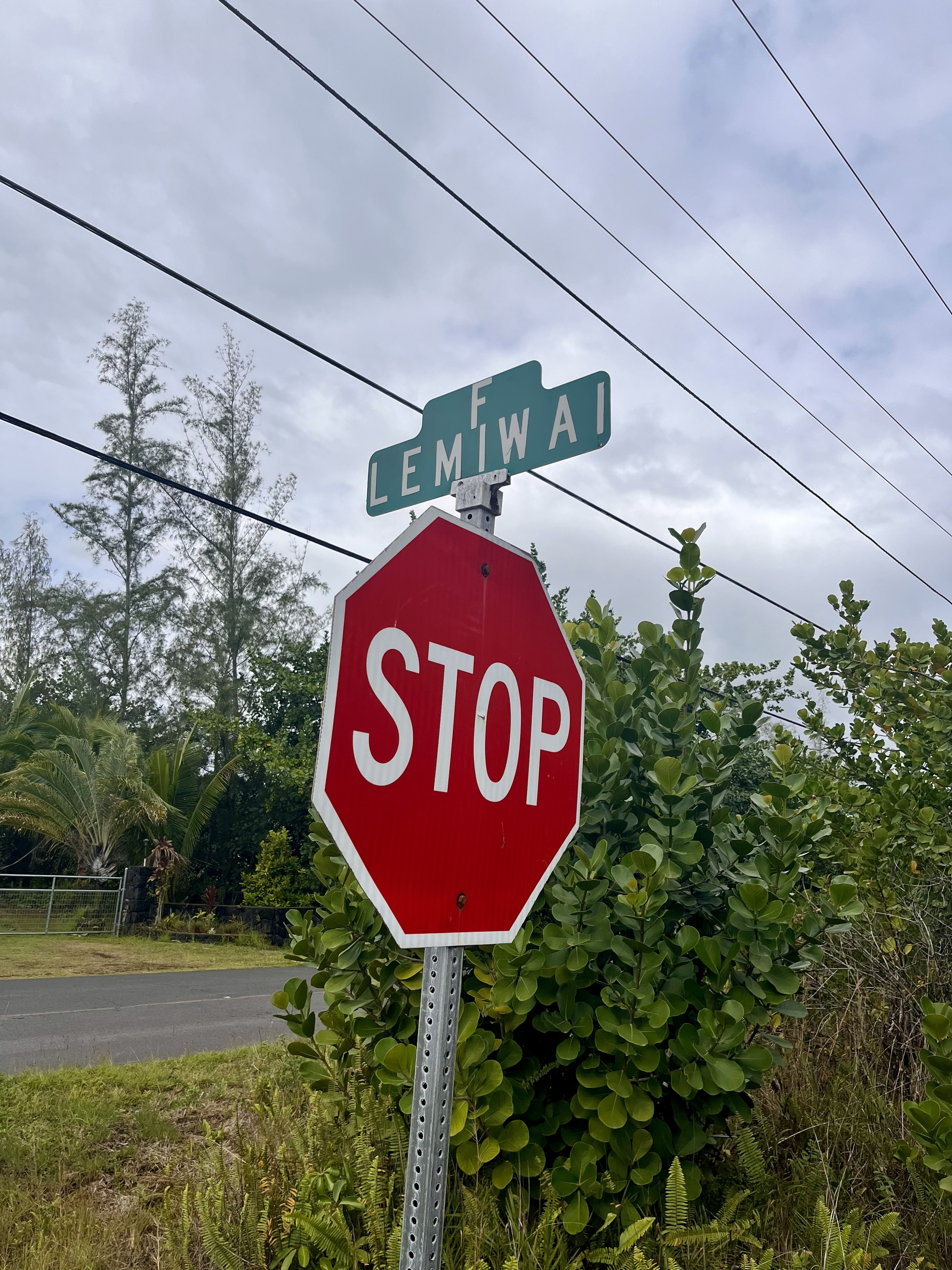 332 Lemiwai Road Keaau, HI 96749 - Photo 6 of 8