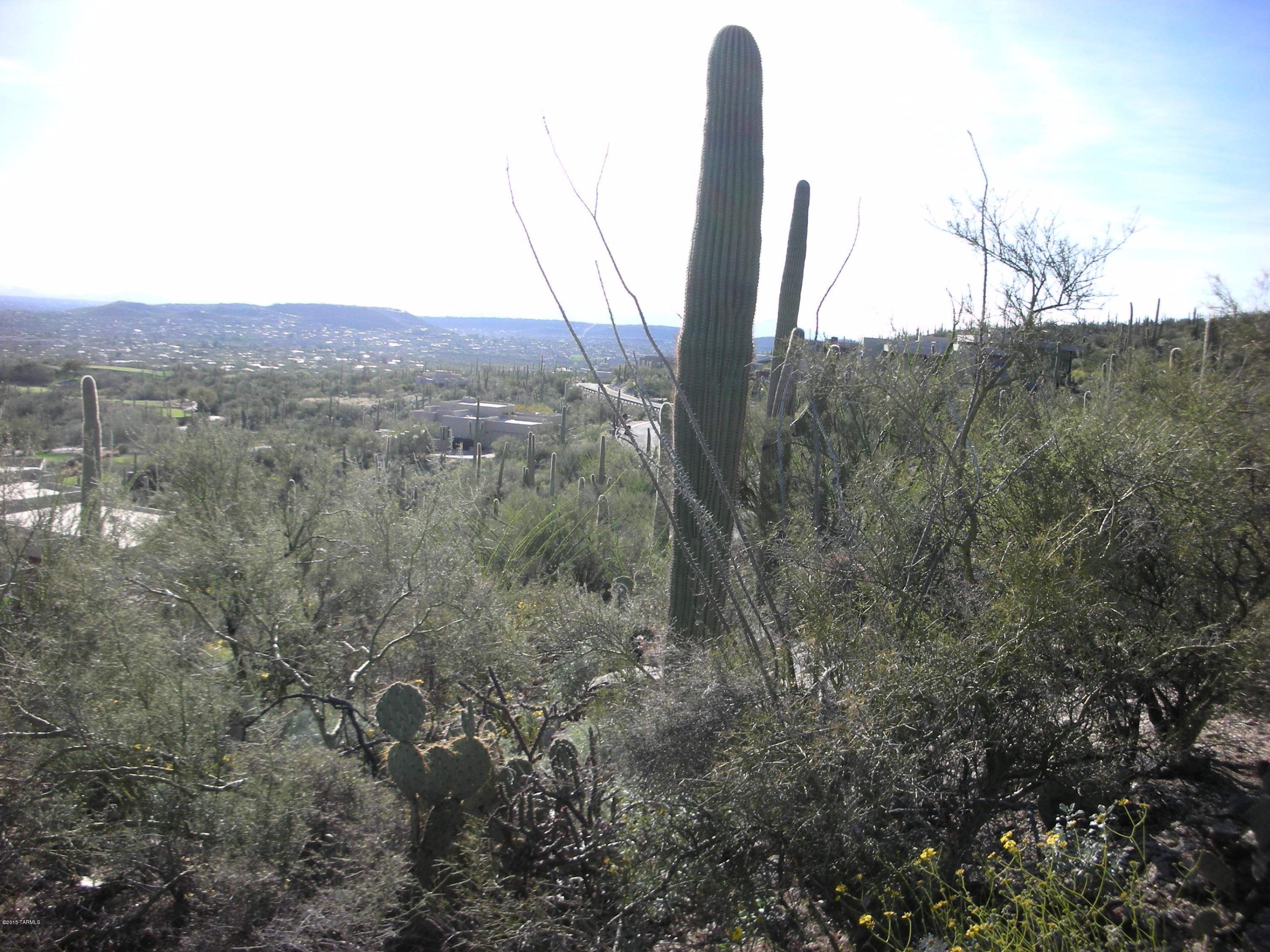 West Rhyolite Loop Tucson, AZ 85745 - Photo 8 of 12