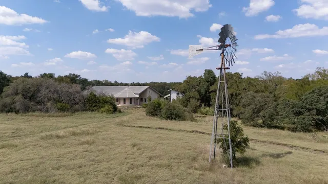 a view of a yard with plants and trees