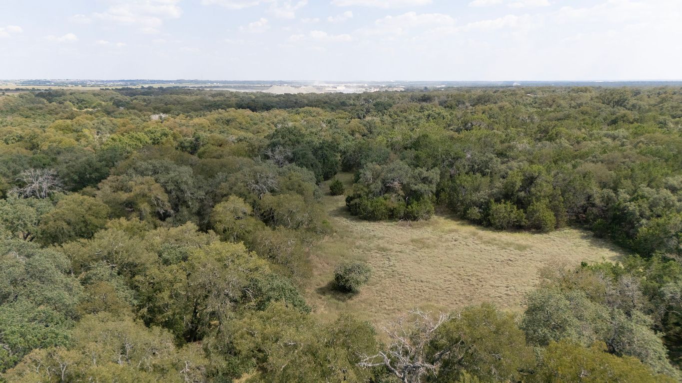 1400 Cobb Creek Road Georgetown, TX 78633 - Photo 31 of 38 a view of a forest with trees in the background
