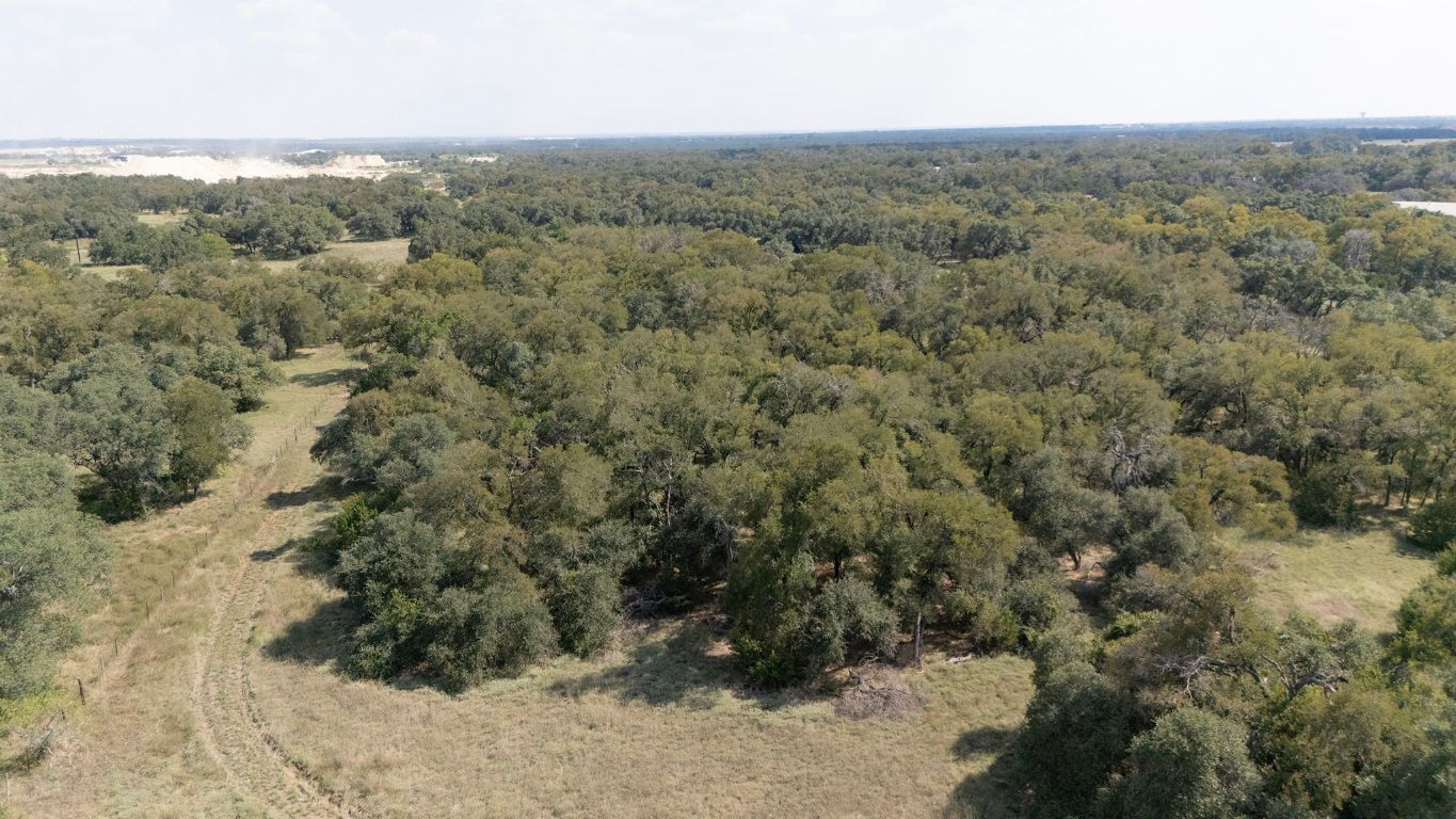 1400 Cobb Creek Road Georgetown, TX 78633 - Photo 33 of 38 an aerial view of forest
