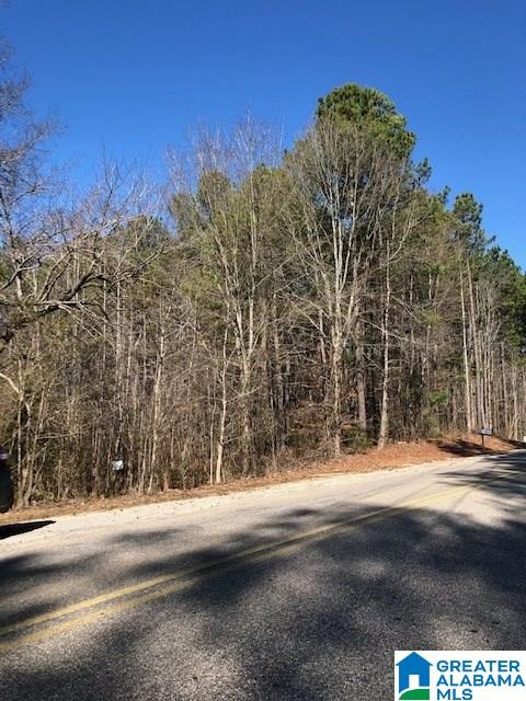 0 Blackjack Road, Unit 24 Trussville, AL 35173 - Photo 6 of 21